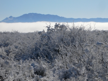 Fog Band in San Simon Valley