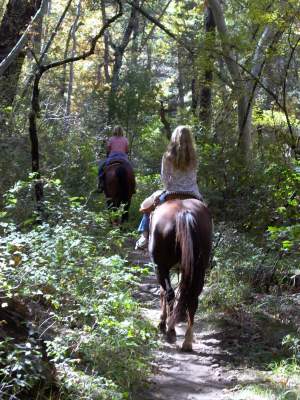 Riding in Cave Creek Canyon