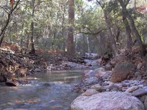 Cave Creek in the Canyon