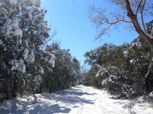 Snow in Cave Creek Canyon